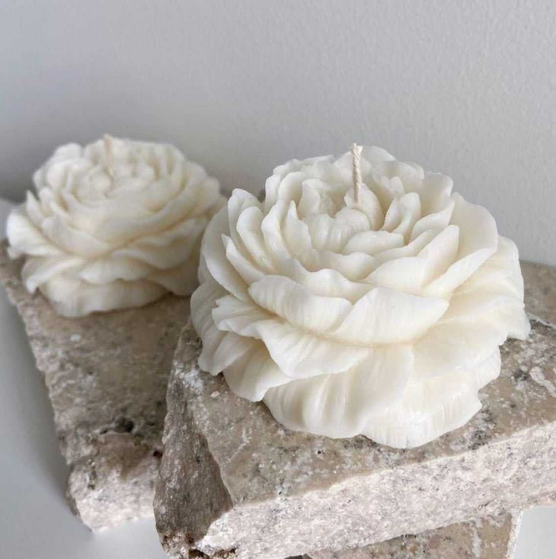 “THE BLOOM LABEL” bloem