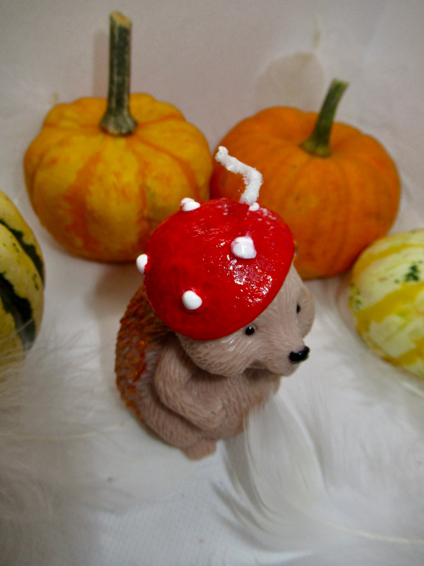 EGEL MET PADDENSTOEL MUTSJE