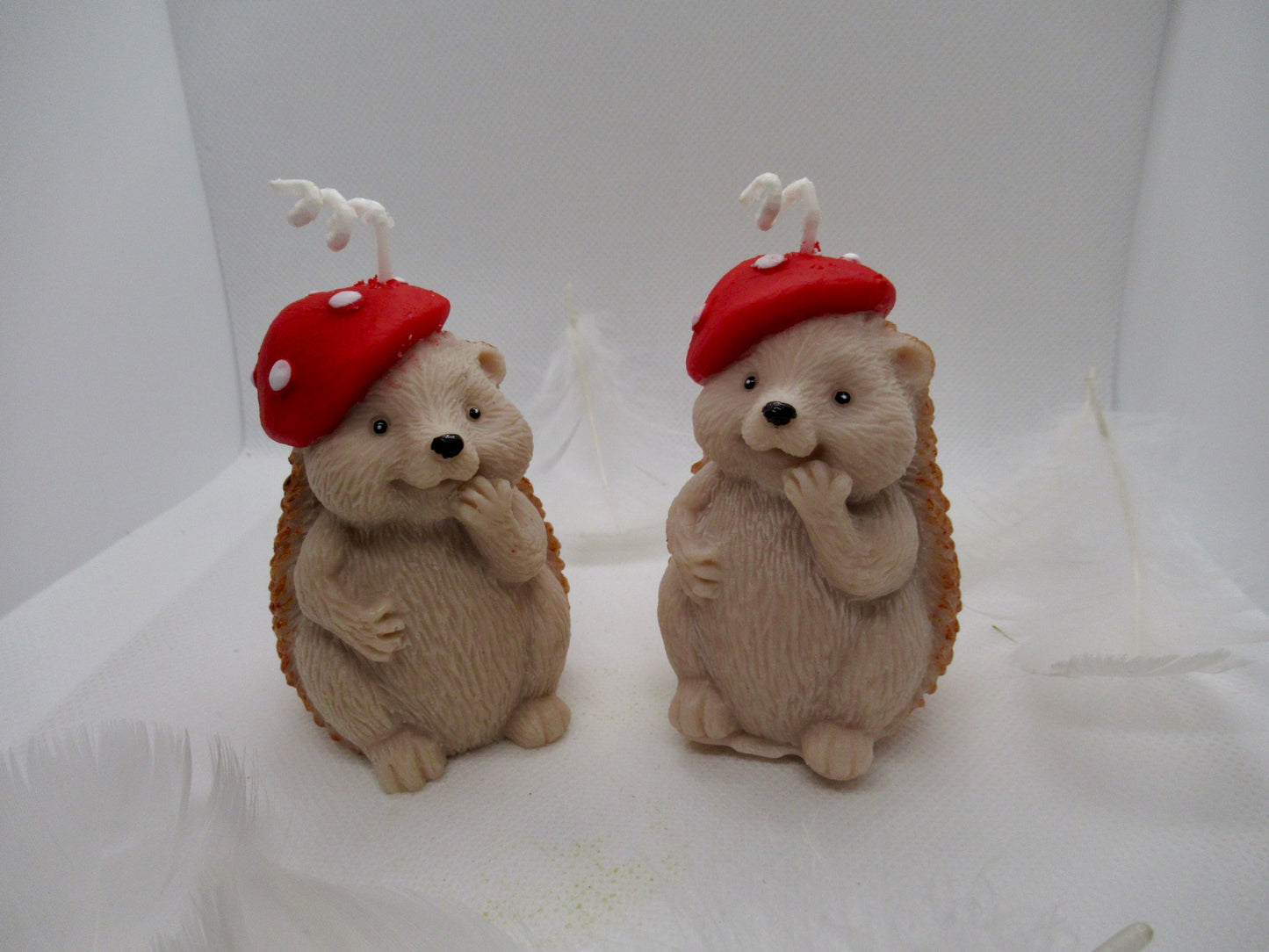 EGEL MET PADDENSTOEL MUTSJE