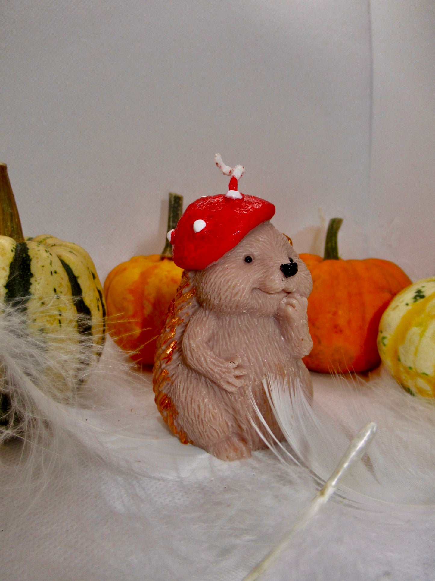 EGEL MET PADDENSTOEL MUTSJE